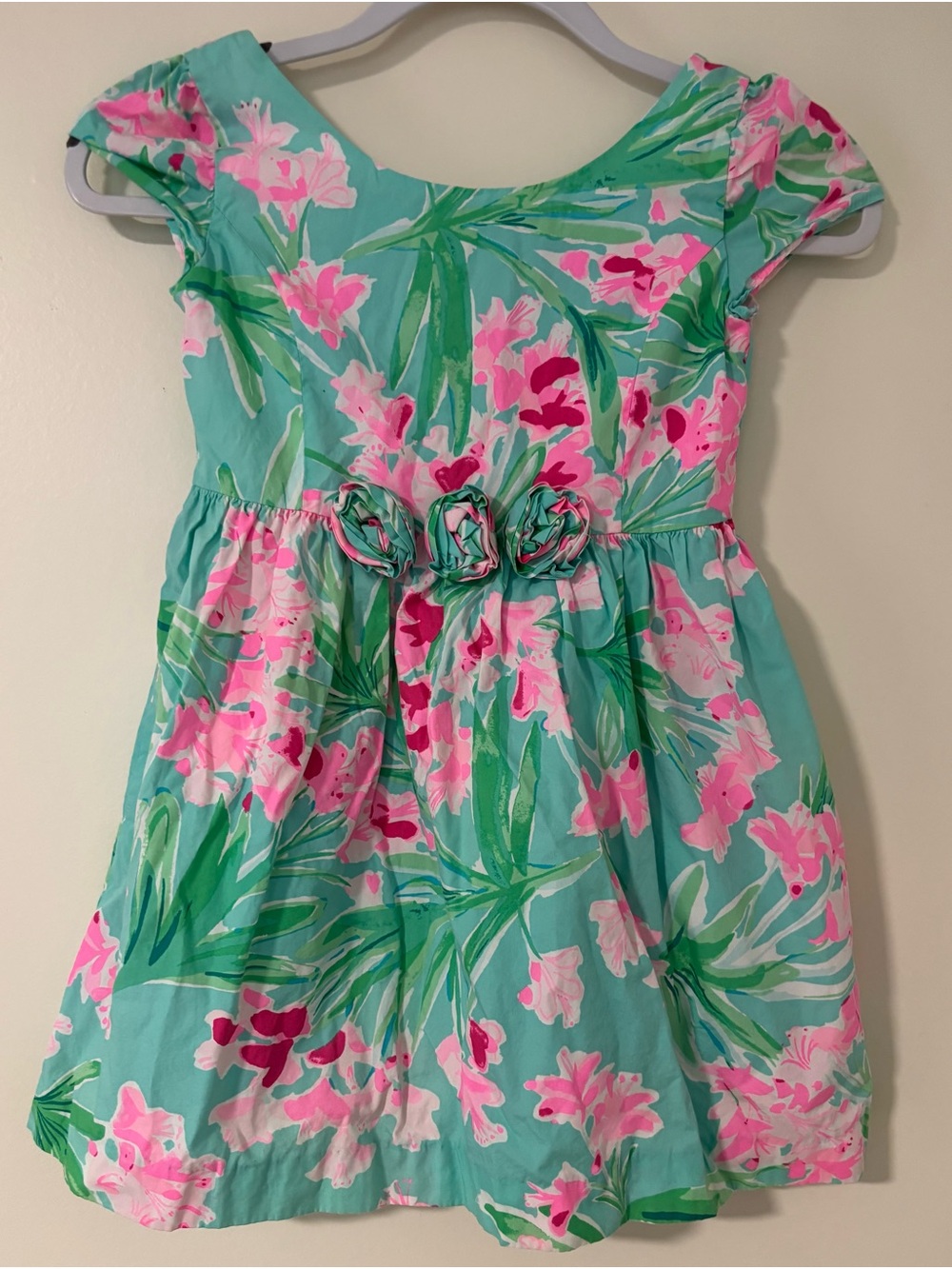 Lily Pulitzer Momoa Dress NEW size 8